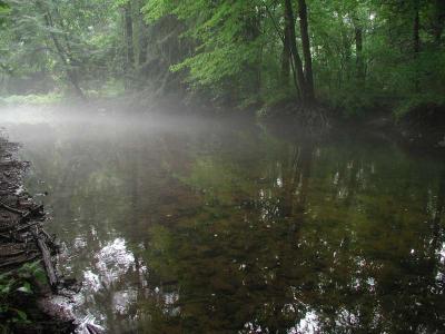 ir-200008020082_SaddleRiverMist.jpg