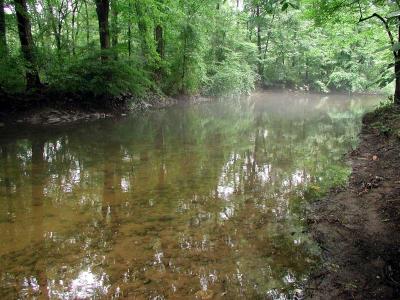 ir-200008020099_SaddleRiverMist.jpg