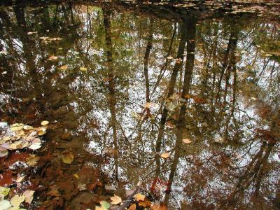 ir-200010252375_ReflectionsFall.jpg