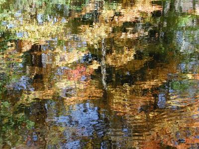 ir-200110180018_SaddleRiver,NJ.jpg
