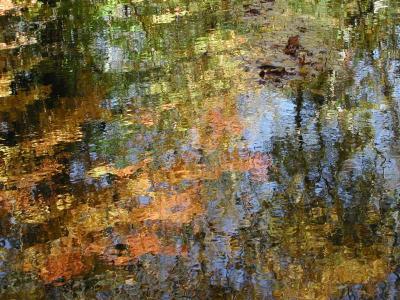 ir-200110180019_SaddleRiverMagic.jpg