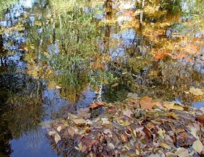 ir-200110180020_CRAC_SaddleRiver,NJ.jpg