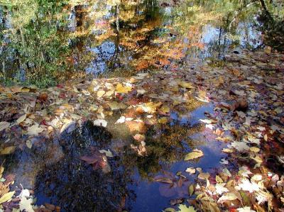ir-200110180023_CRAL_SaddleRiver,NJ.jpg