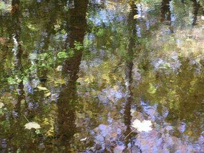 ir-200110180028_SaddleRiver,NJ.jpg