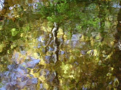 ir-200110180048_SaddleRiver,NJ.jpg