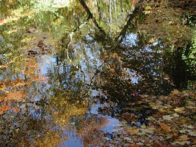 ir-200110180058_SaddleRiverMagic.jpg