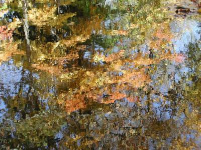 ir-200110180059_SaddleRiverMagic.jpg