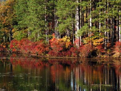 ir-200310242955_LakeKanawaukeHarrimanCR.jpg