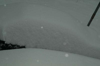 ir-DSC_0017.jpg