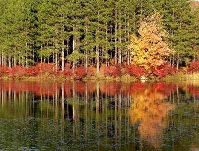 ir200110242955_LakeKanawaukeHarrimanCR.jpg