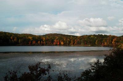 irDSC_0059.jpg