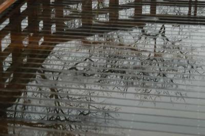 irDSC_4348.jpg