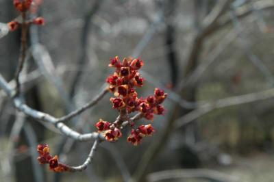 irDSC_7020.jpg