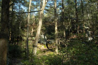 irDSC_8139.jpg