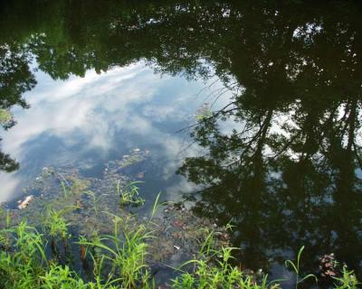 ir07130381_Amazing_Reflections.jpg