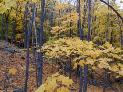 ir10200012_HarrimanStatePark.jpg