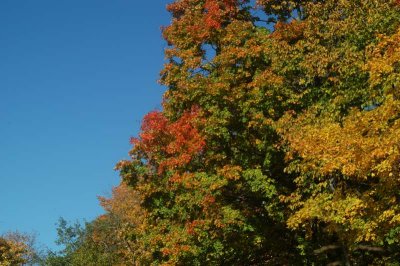 ir-20071021_0015.jpg