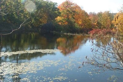 ir-20071021_0028.jpg