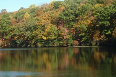 ir-20071021_0031.jpg