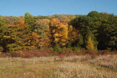 ir-20071021_0035.jpg