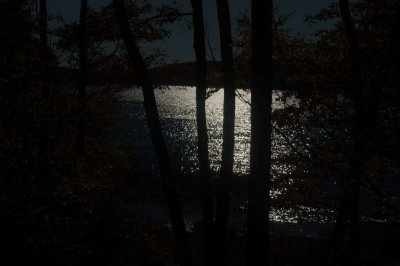 ir-20071021_0046.jpg