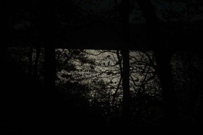 ir-20071021_0049.jpg