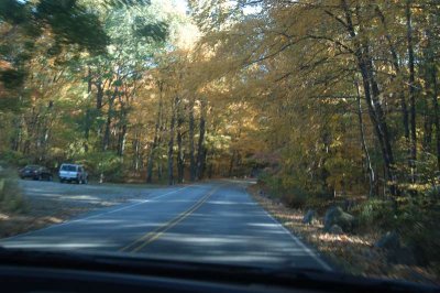 ir-20071021_0051.jpg