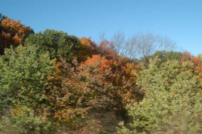 ir-20071021_0053.jpg