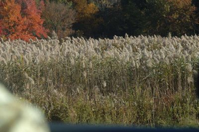 ir-20071021_0055.jpg