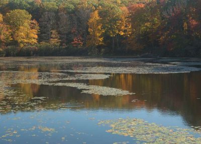ir-20071021_0018_5x7L.jpg