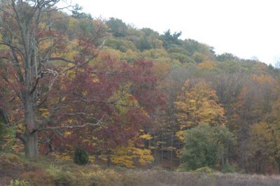 ir-20071101_0002.jpg