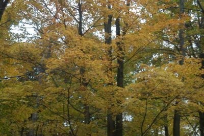 ir-20071101_0005.jpg