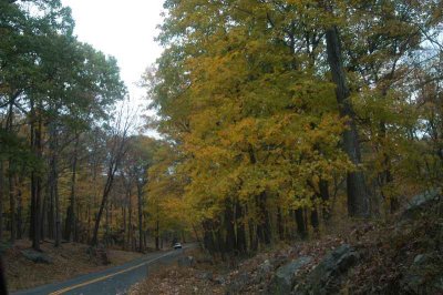 ir-20071101_0007.jpg