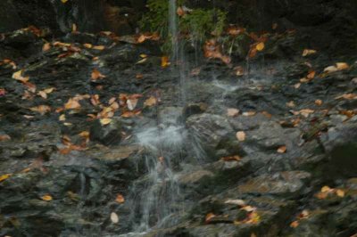 ir-20071101_0010.jpg