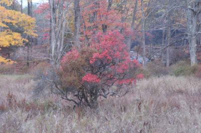 ir-20071101_0014.jpg