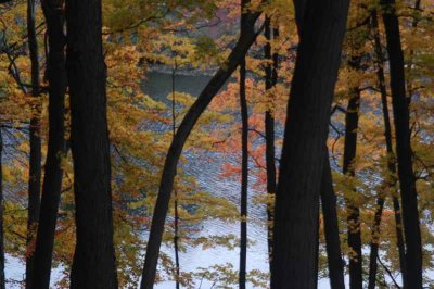 ir-20071101_0016.jpg