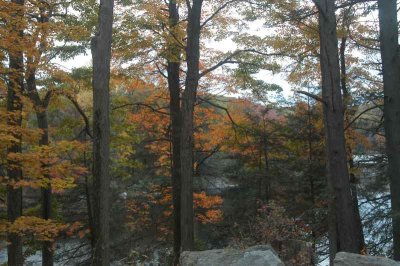 ir-20071101_0020.jpg