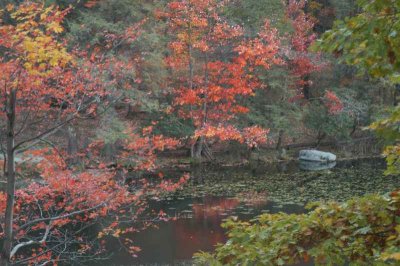 ir-20071101_0021.jpg