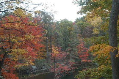 ir-20071101_0022.jpg