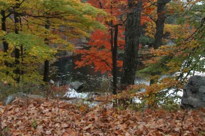 ir-20071101_0025.jpg
