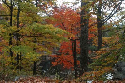 ir-20071101_0026.jpg