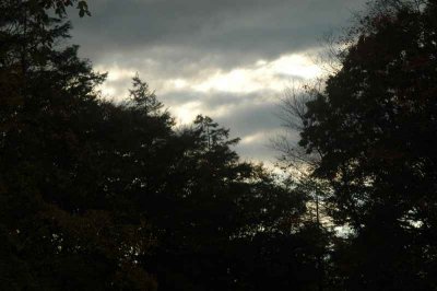 ir-20071101_0028.jpg