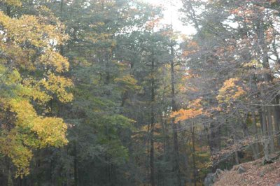 ir-20071101_0029.jpg
