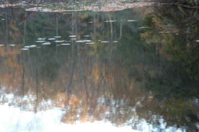 ir-20071101_0030.jpg