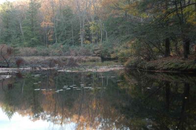 ir-20071101_0031.jpg