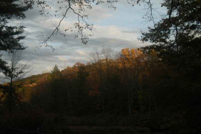 ir-20071101_0032.jpg