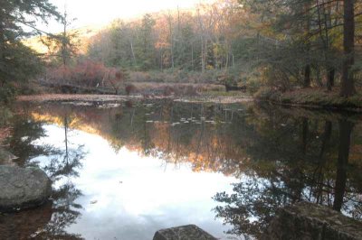 ir-20071101_0033.jpg