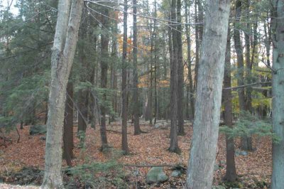 ir-20071101_0038.jpg