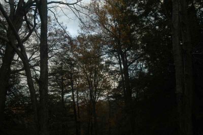 ir-20071101_0039.jpg