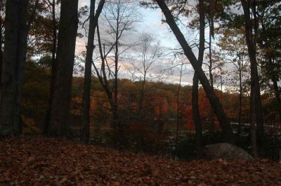 ir-20071101_0047.jpg